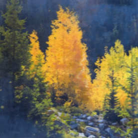Cathy Schermer, Encaustic, Gouache and Mixed Media Painting